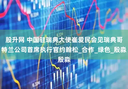 股升网 中国驻瑞典大使崔爱民会见瑞典哥特兰公司首席执行官约翰松_合作_绿色_殷淼