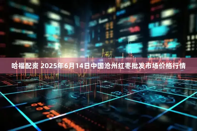 哈福配资 2025年6月14日中国沧州红枣批发市场价格行情